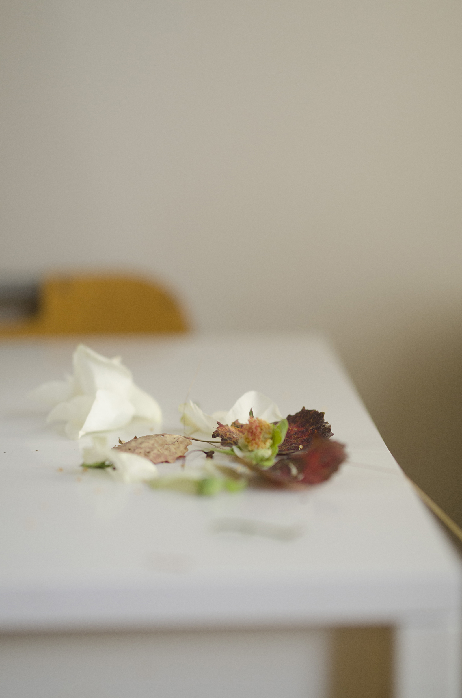 November 22 Snowy Morningc